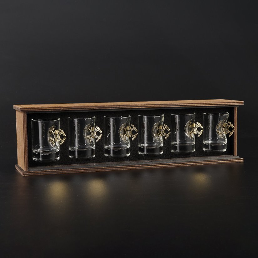 Shot Glass Set (with gold drone inserts) + Packaging | VSKLO #1693